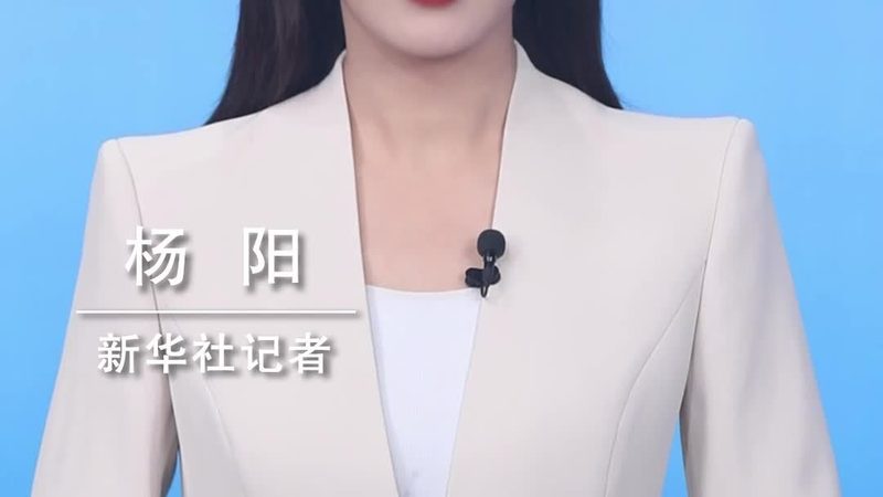 人工智能应用方案：企业智能转型的关键路径**